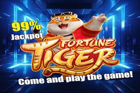 dk7com VIP ပရိုဂရမ် Exclusive Cashback Bonus မြန်မာ ကစားသမား